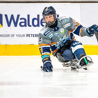 A Sheffield Steelkings player in action on the ice