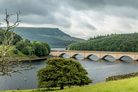 New funding boost for green social prescribing in South Yorkshire