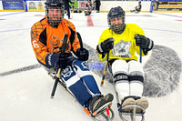 Sheffield Steelkings Para Ice Hockey Club