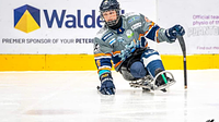 A Sheffield Steelkings Para Ice Hockey Club player on the ice rink.