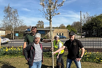 South Yorkshire’s Mayor opens second round of A Tree for Everyone Grant Fund to plant more trees across the region
